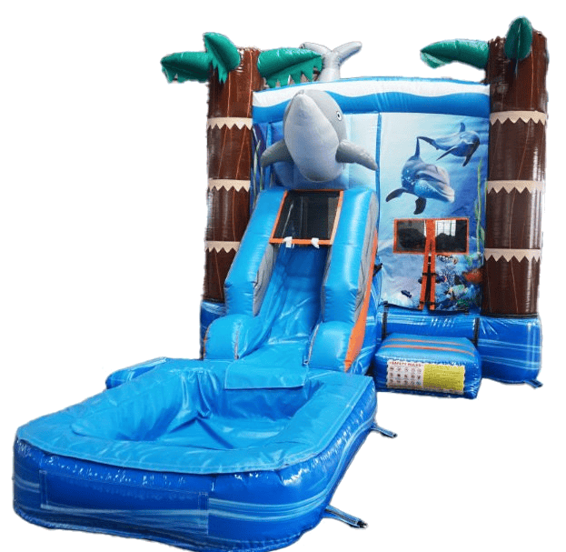 Dolphin Wet and Dry Combo #W126