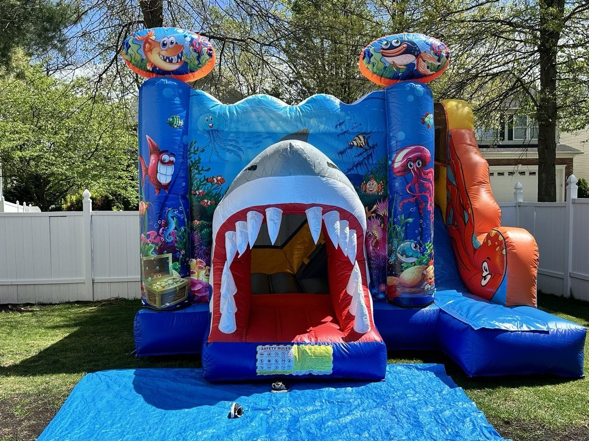 Shark Combo Bounce #119