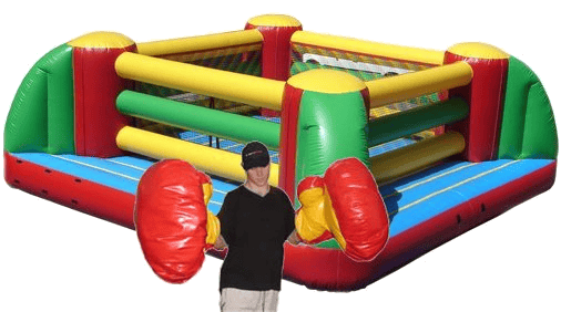 Inflatable Boxing Ring #25