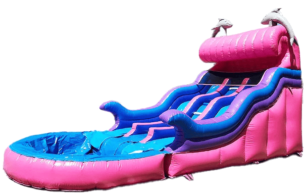 Dual Dolphin Water Slide #W31