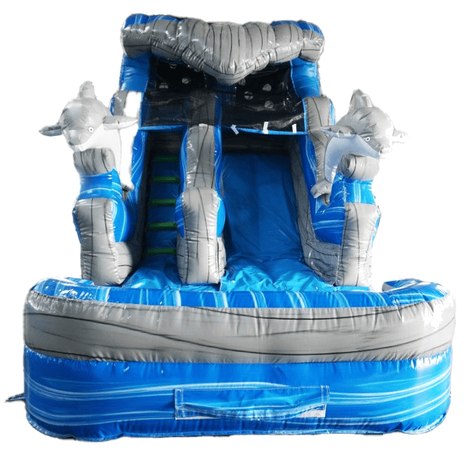 Swimming Dolphins WaterSlide #W59