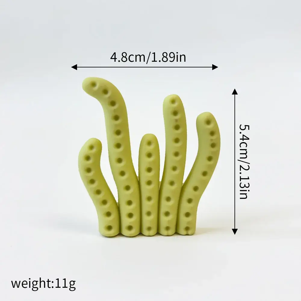 Great coral, Size as show