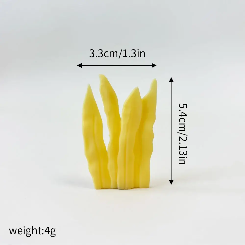 Seaweed, Size as show