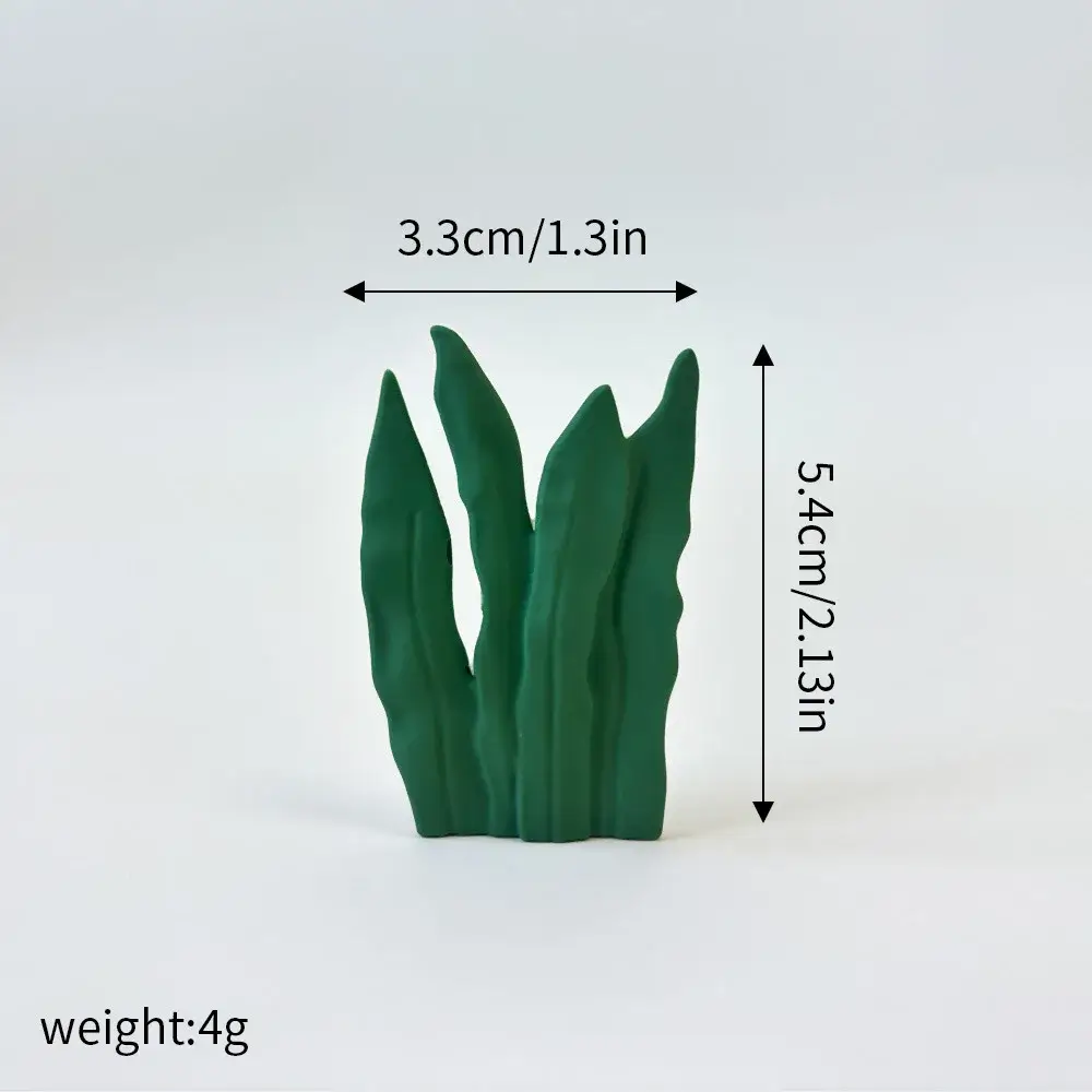 Seaweed, Size as show