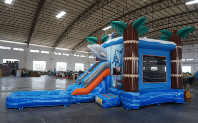 Dolphin Wet and Dry Combo #W126