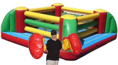 Inflatable Boxing Ring #25