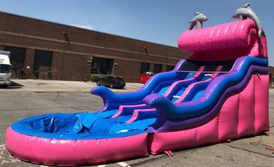 Dual Dolphin Water Slide #W31