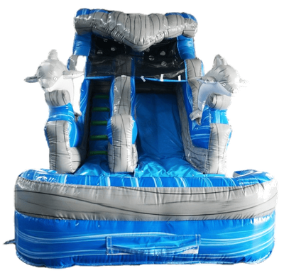 Swimming Dolphins WaterSlide #W59