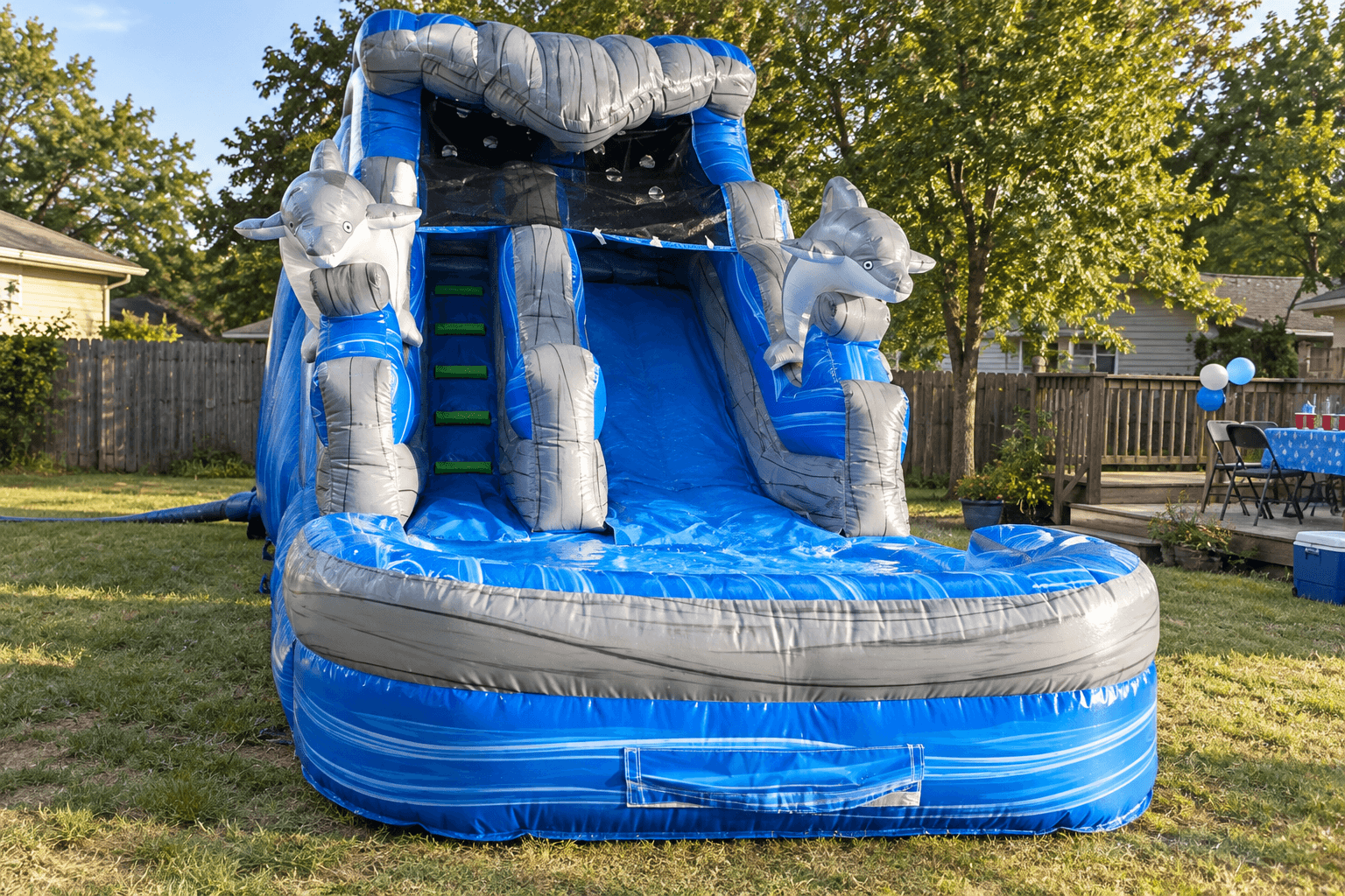 Swimming Dolphins WaterSlide #W59