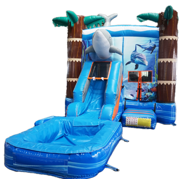 Dolphin Wet and Dry Combo #W126