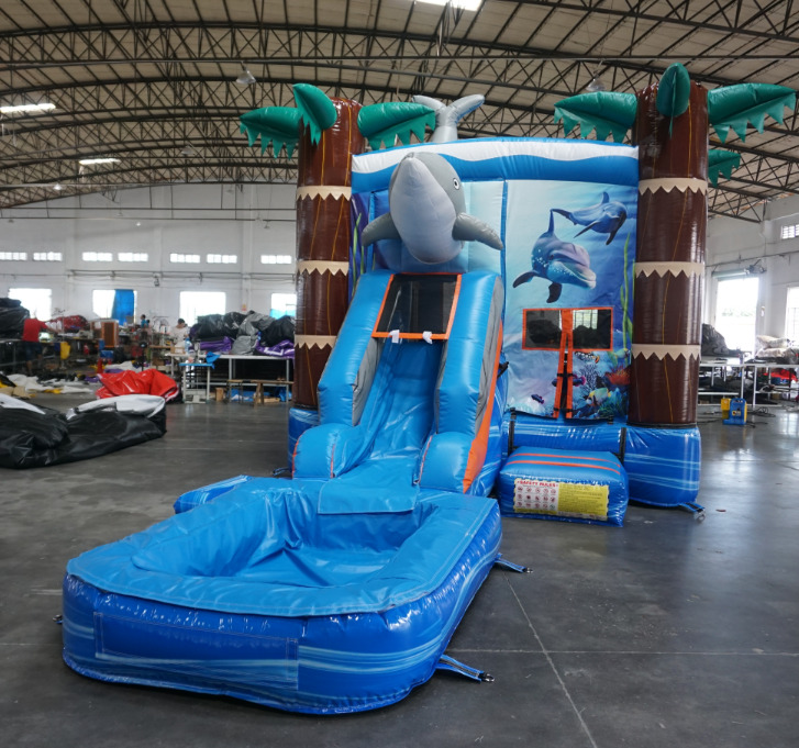 Dolphin Wet and Dry Combo #W126