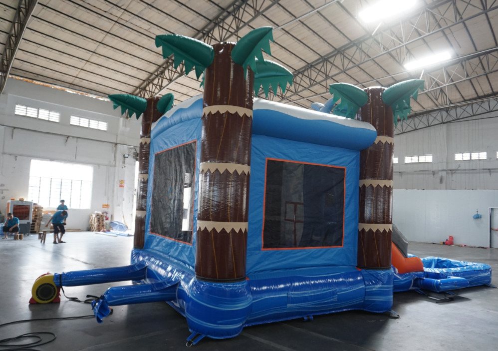 Dolphin Wet and Dry Combo #W126