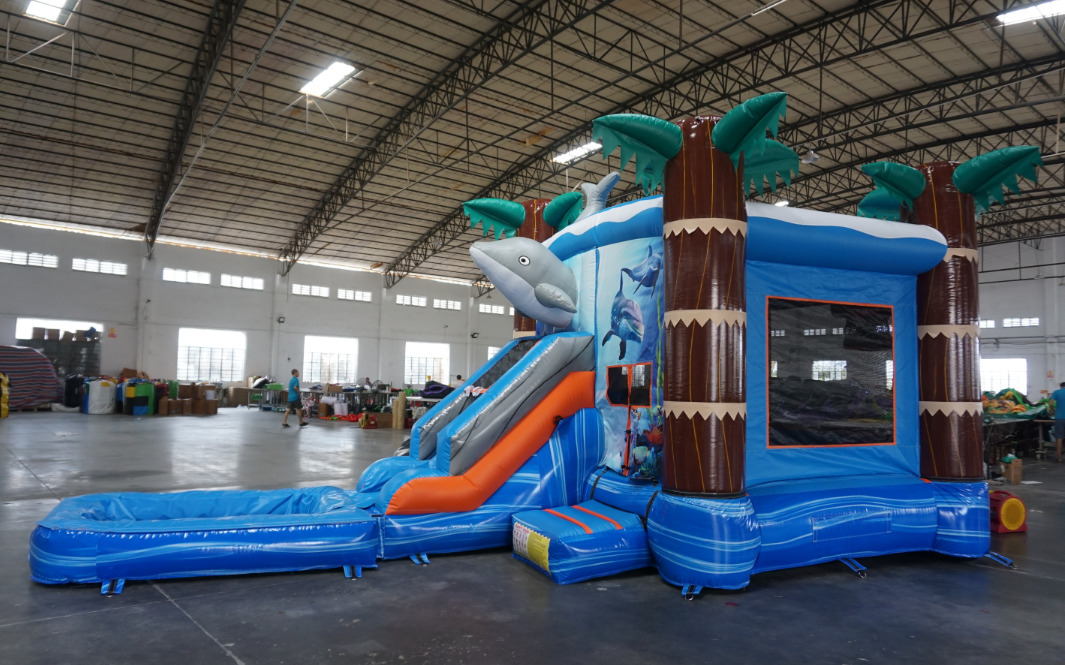 Dolphin Wet and Dry Combo #W126