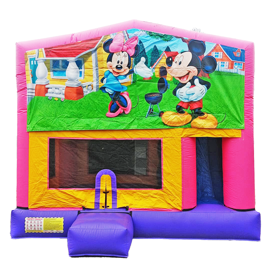 Mickey Pink Themed Combo #121