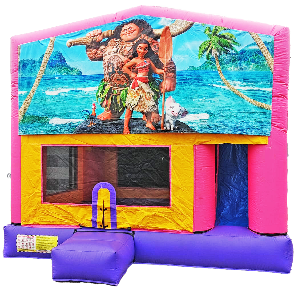 Moana Pink Themed Combo #121