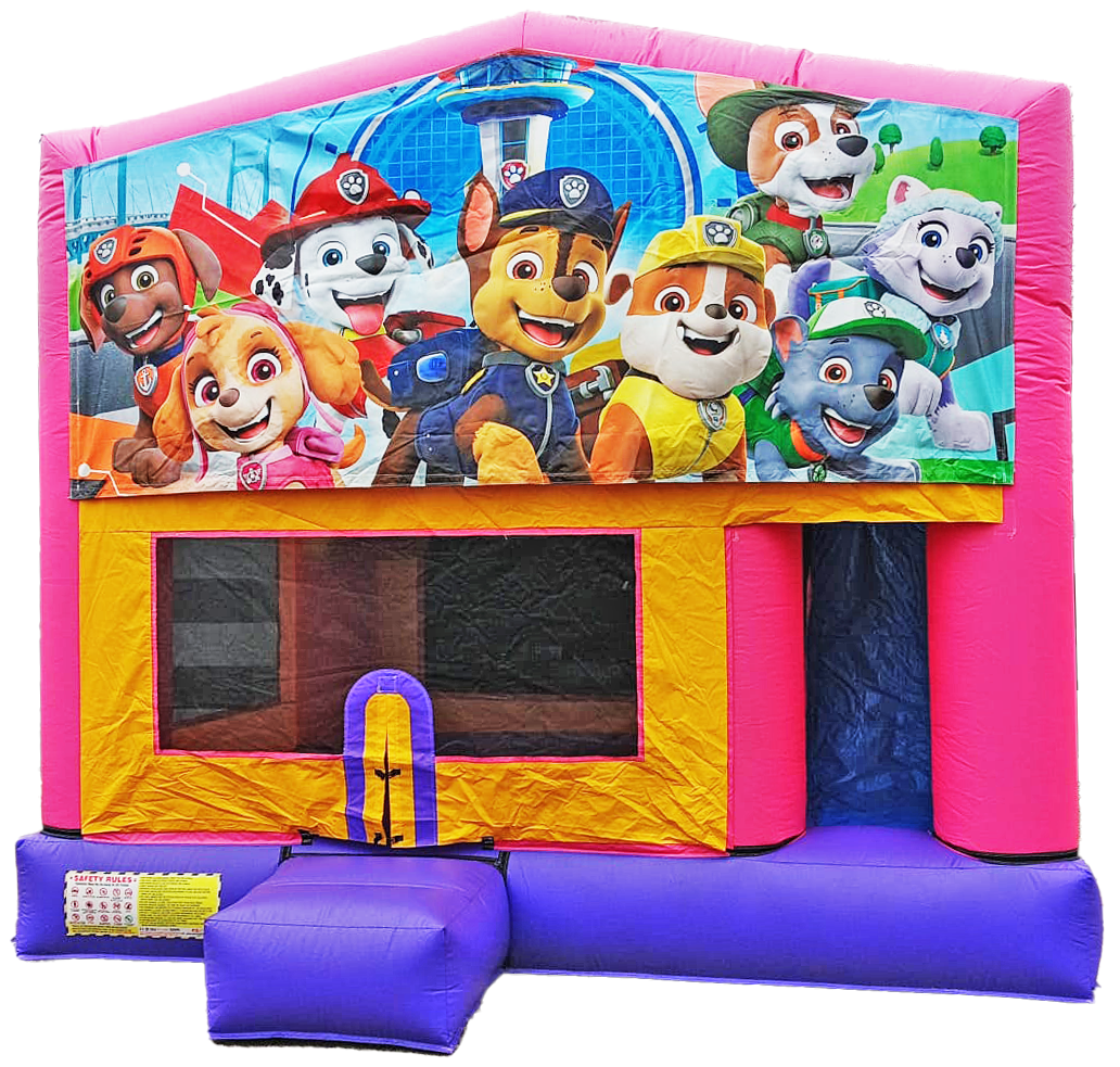 Paw Patrol Pink Themed Combo #121