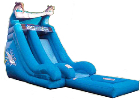 Dolphin Water Slide #W47